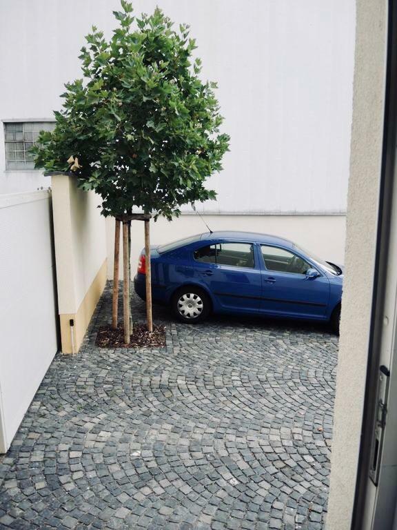 Modernes Apartment - Neustadt/Weinstrasse Stadt Neustadt an der Weinstraße المظهر الخارجي الصورة