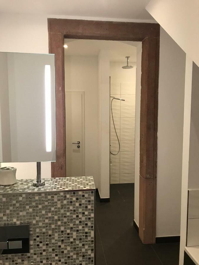 Modernes Apartment - Neustadt/Weinstrasse Stadt Neustadt an der Weinstraße المظهر الخارجي الصورة